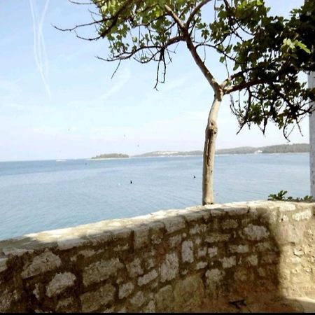 Apartment Giulio - 10Mt To The Beach Rovinj Dış mekan fotoğraf