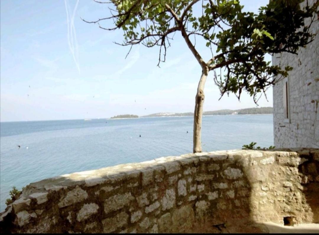 Apartment Giulio - 10Mt To The Beach Rovinj Dış mekan fotoğraf